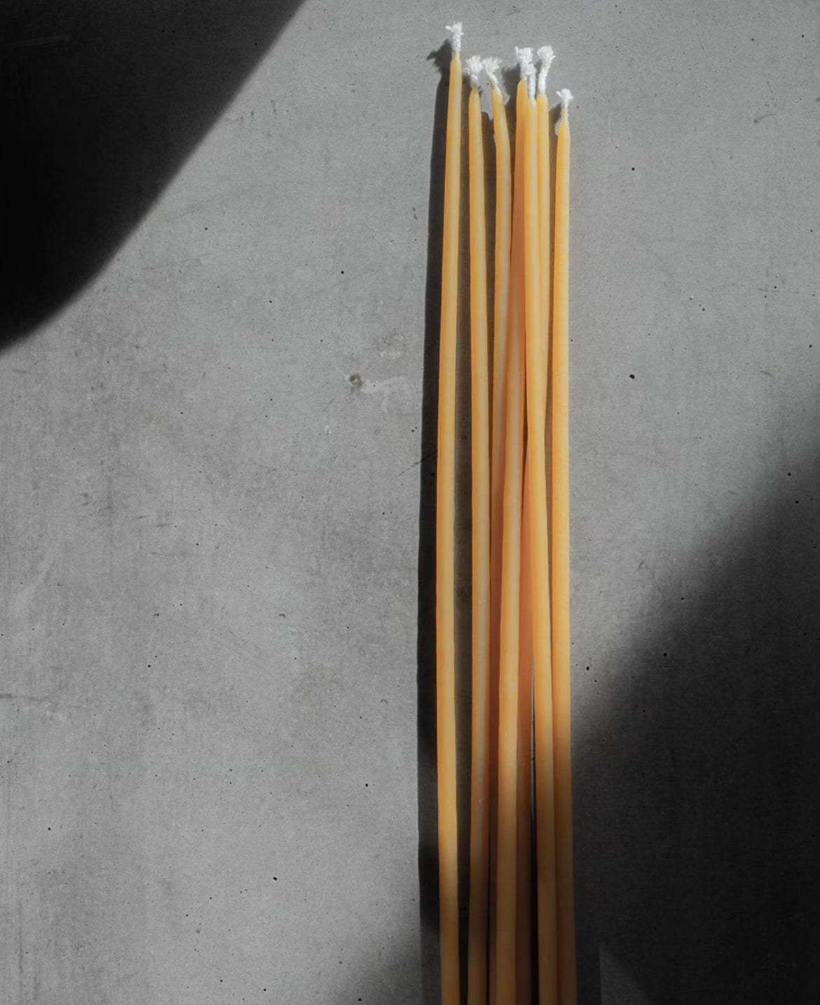 LICHT SPECIAL DAY FESTTAGSKERZEN.