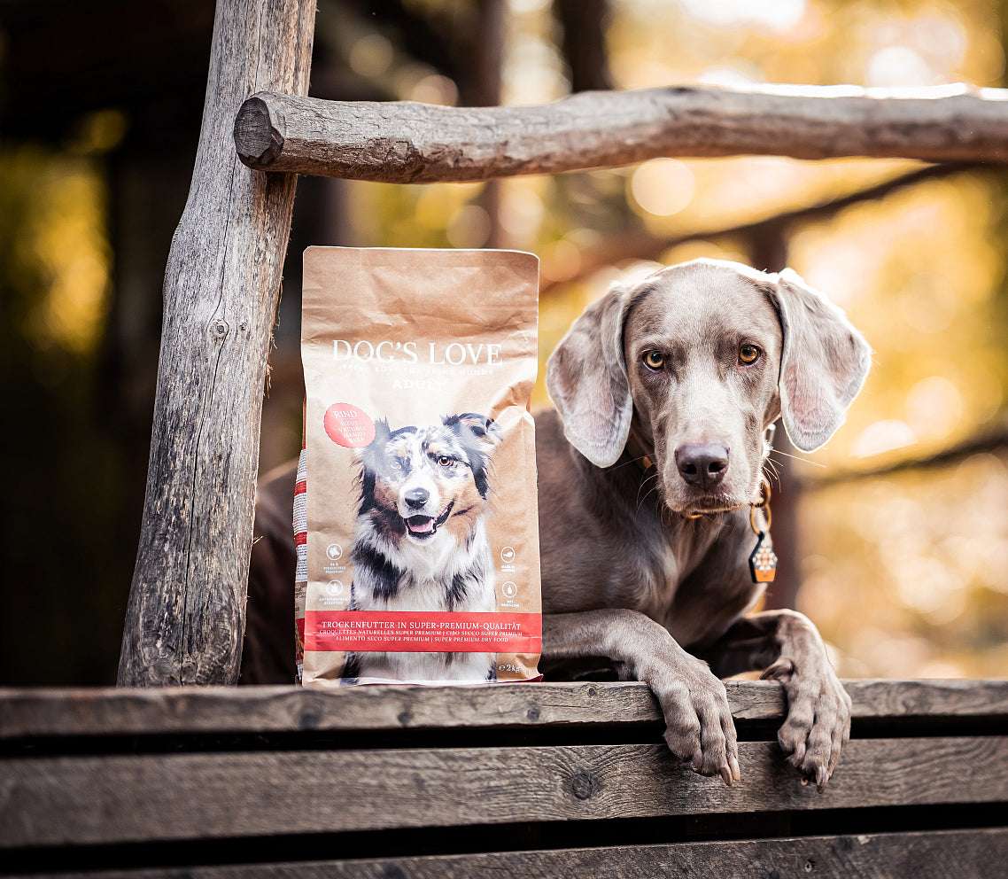 TROCKENFUTTER FÜR HUNDE ADULT RIND.