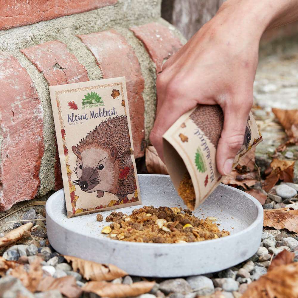 KLEINE MAHLZEIT FÜR IGEL.