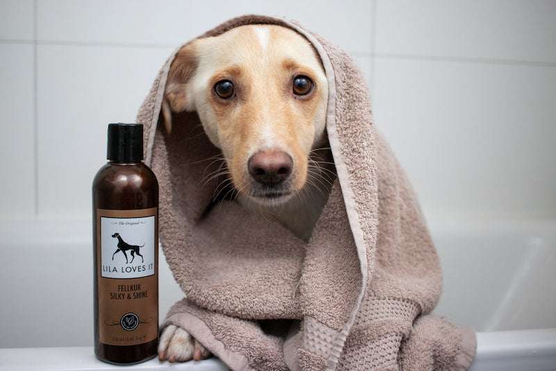 FELLKUR SILKY & SHINE FÜR HUNDE.