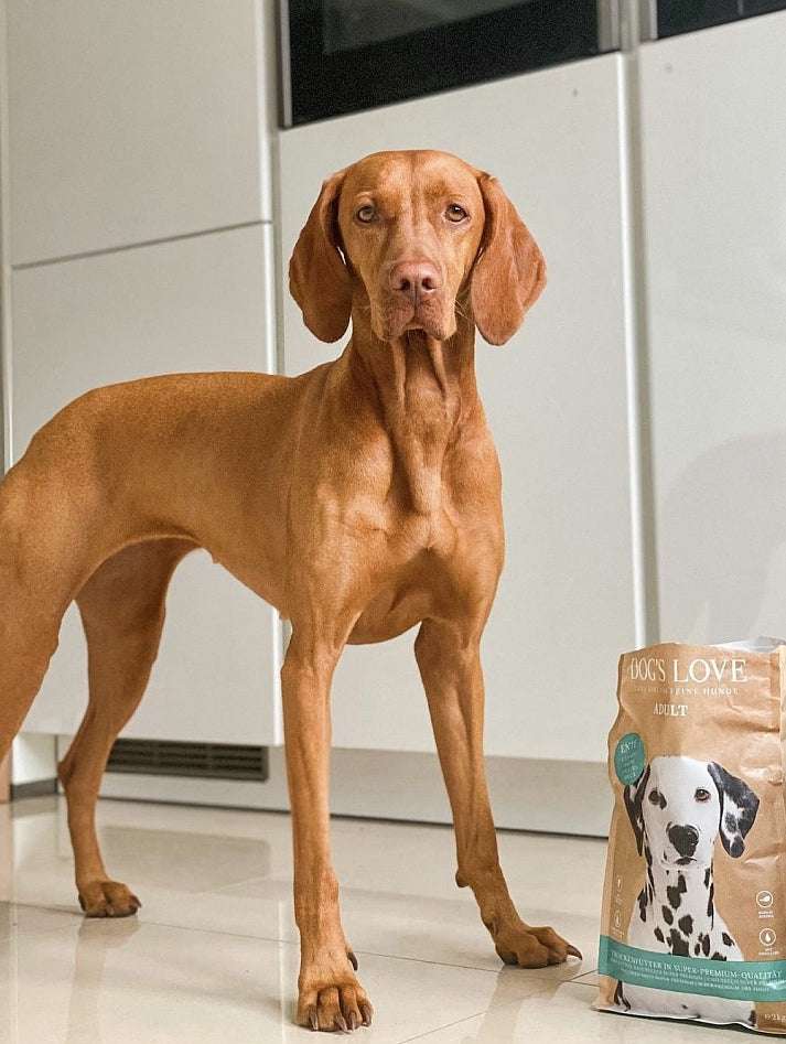 TROCKENFUTTER FÜR HUNDE ADULT ENTE.