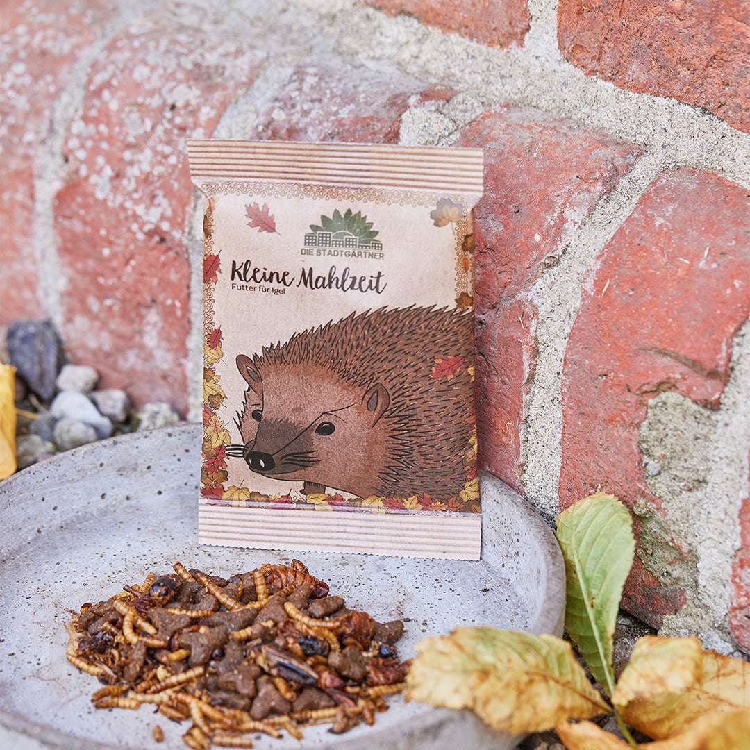 KLEINE MAHLZEIT FÜR IGEL.