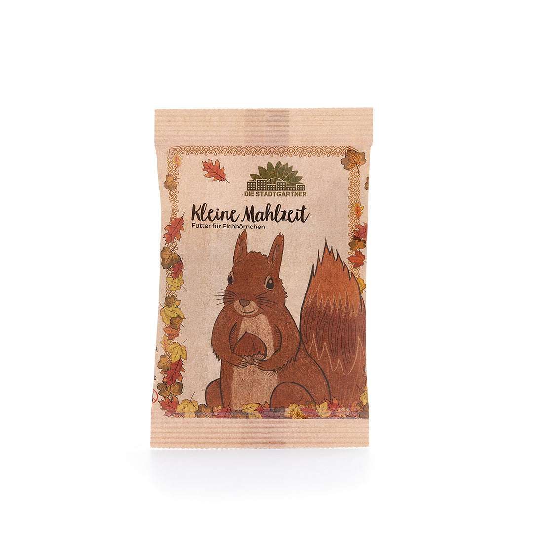 KLEINE MAHLZEIT FÜR EICHHÖRNCHEN.