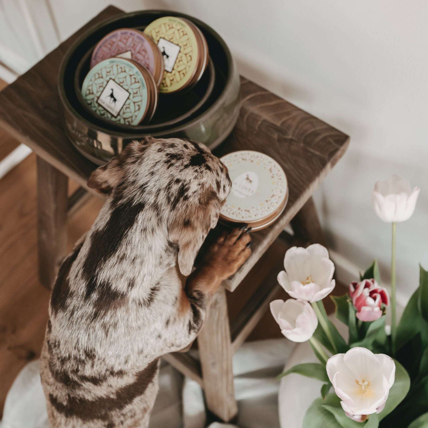 ENTENFLEISCH-GOODIES FÜR HUNDE.