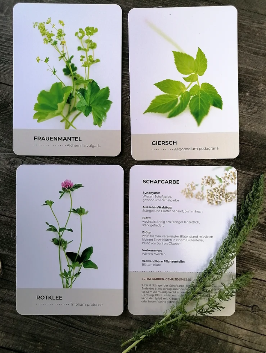 WILDKRÄUTERKARTEN.