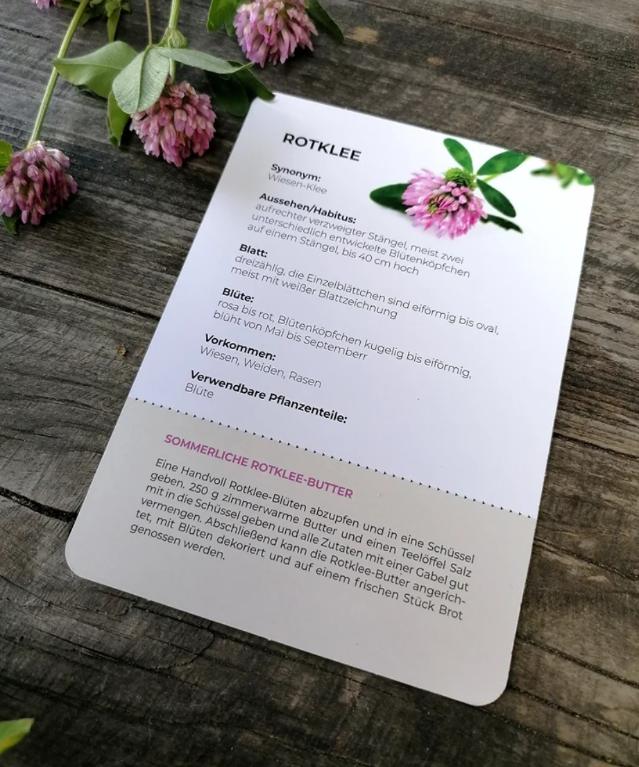 WILDKRÄUTERKARTEN.