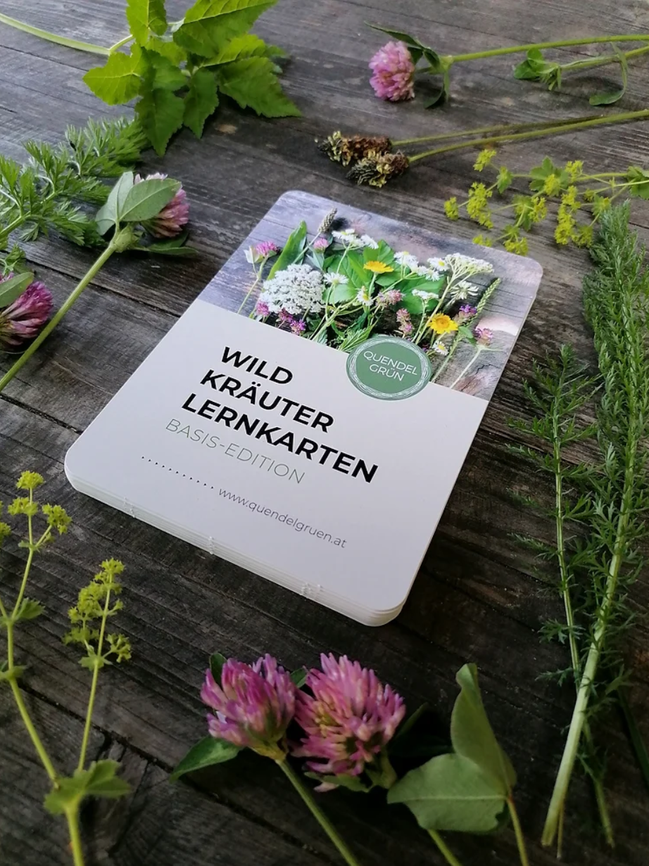 WILDKRÄUTERKARTEN.