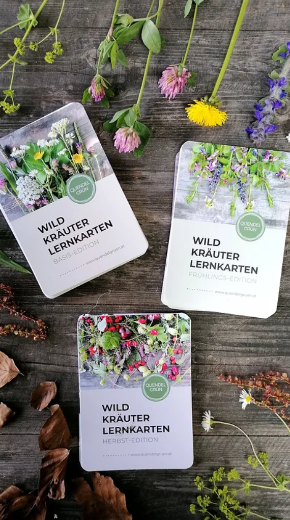 WILDKRÄUTERKARTEN.