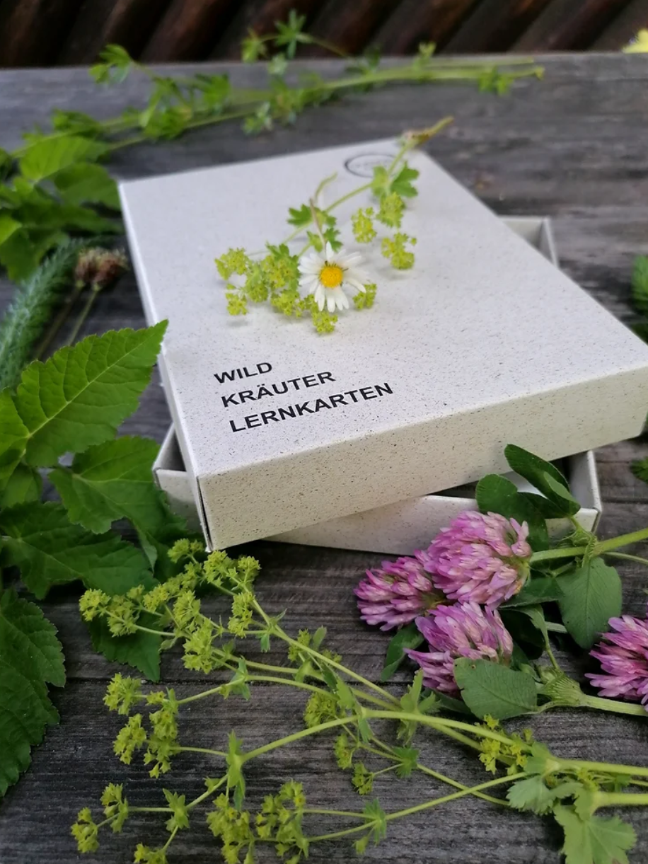 WILDKRÄUTERKARTEN.