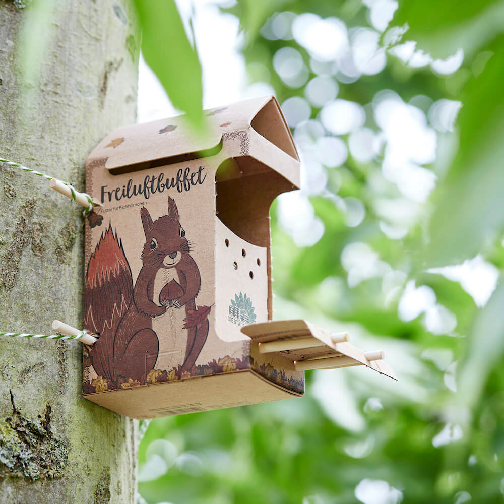 FREILUFTBUFFET FÜR EICHHÖRNCHEN.