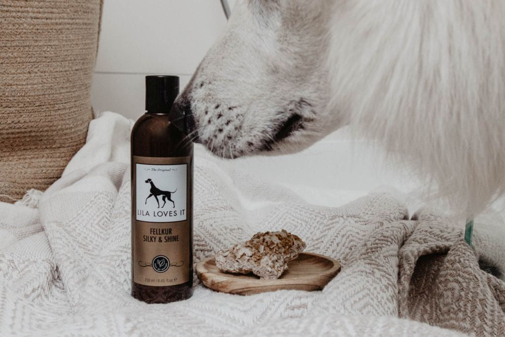 FELLKUR SILKY & SHINE FÜR HUNDE.