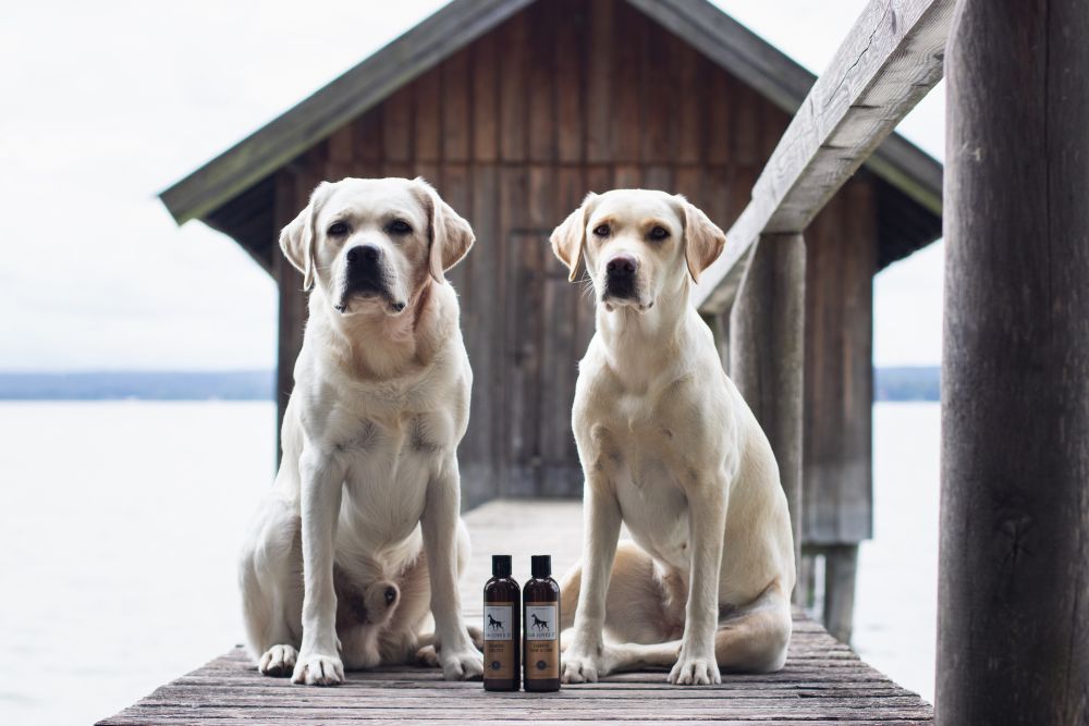 HUNDESHAMPOO SHINE & COMB.