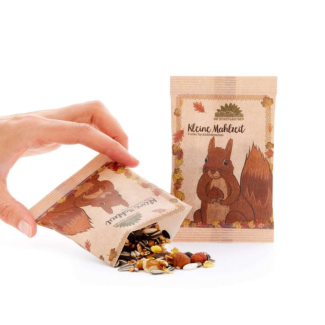 KLEINE MAHLZEIT FÜR EICHHÖRNCHEN.
